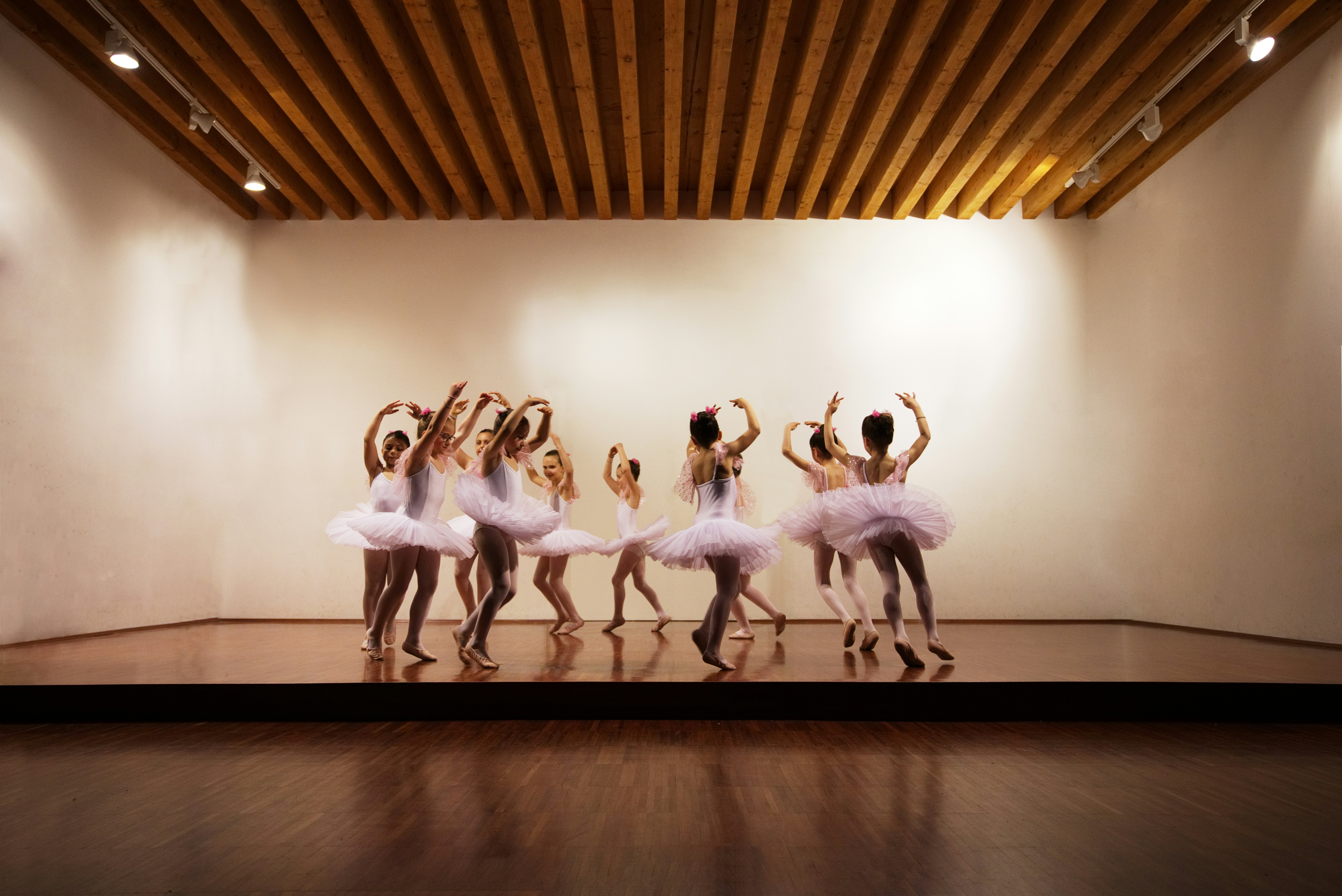 Ballet Unity Image